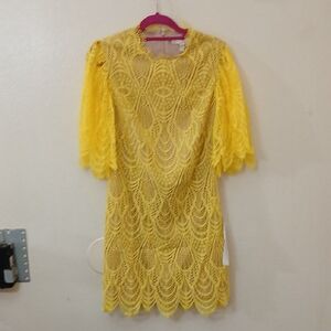 Dress the Population Yellow Lace Long Sleeve Dress
